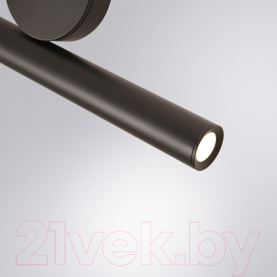 Потолочный светильник Arte Lamp Beemim A2090SP-1BK