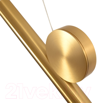 Потолочный светильник Arte Lamp Beemim A2090SP-1PB