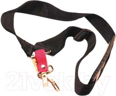 Ремень для триммера Champion C4001 - фото