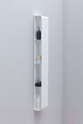 Полка для ванной Aquanet Магнум H / 326461