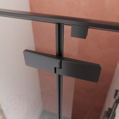 Душевая дверь Cezares Liner-B-12-90-C-NERO-R