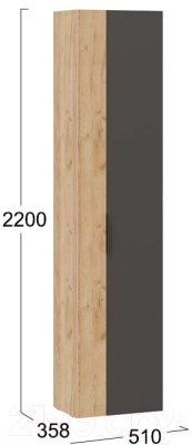 Шкаф-пенал ТриЯ Асти комбинированный
