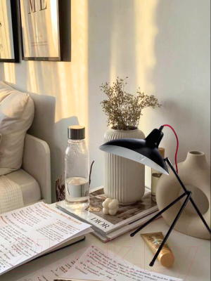 Настольная лампа Aitin-Pro MT3478/1C