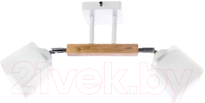 Потолочный светильник Aitin-Pro НПБ 02-2x60-101 / N4719/2 - фото