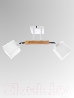 Потолочный светильник Aitin-Pro НПБ 02-2x60-101 / N4719/2