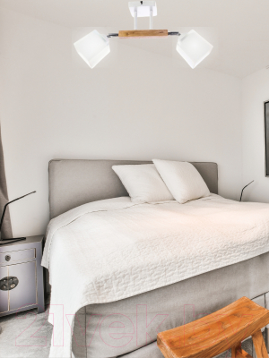 Потолочный светильник Aitin-Pro НПБ 02-2x60-101 / N4719/2