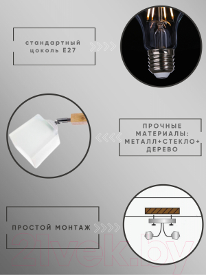 Потолочный светильник Aitin-Pro НПБ 02-2x60-101 / N4719/2