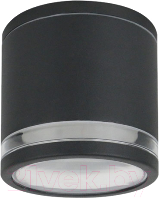 Бра уличное Arte Lamp Nunki A1910PF-1BK - фото