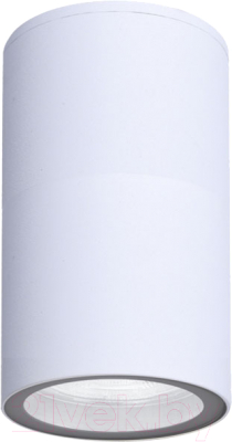 Светильник уличный Arte Lamp Mistero A3302PF-1WH - фото