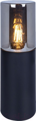 Светильник уличный Arte Lamp Wazn A6218FN-1BK - фото
