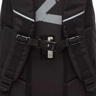 Рюкзак Grizzly RU-430-9