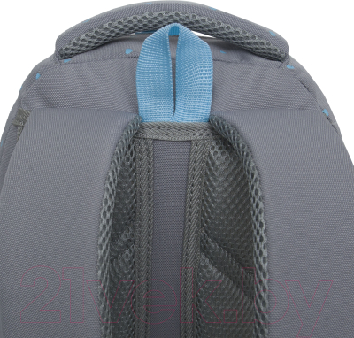 Школьный рюкзак Grizzly RG-460-6