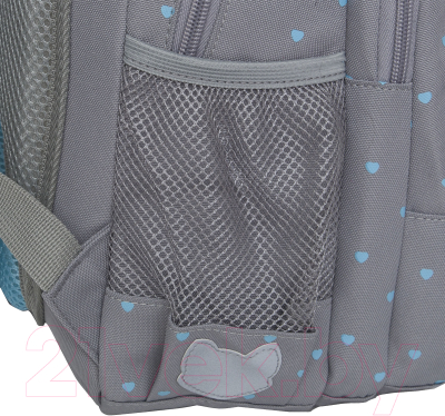 Школьный рюкзак Grizzly RG-460-6