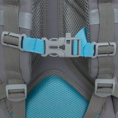 Школьный рюкзак Grizzly RG-460-6