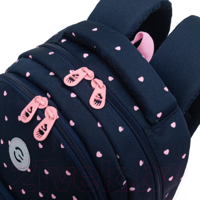 Школьный рюкзак Grizzly RG-460-6