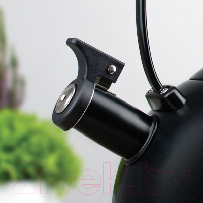 Чайник со свистком TalleR TR-11379