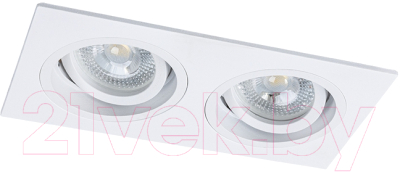 Точечный светильник Arte Lamp Tarf A2178PL-2WH