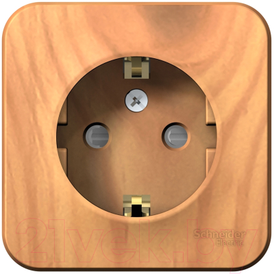 Розетка Schneider Electric Blanca BLNRA011115 - фото