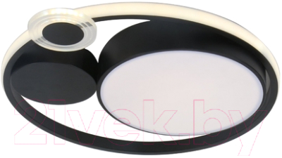 Потолочный светильник Arte Lamp Stockholm A2690PL-1BK - фото