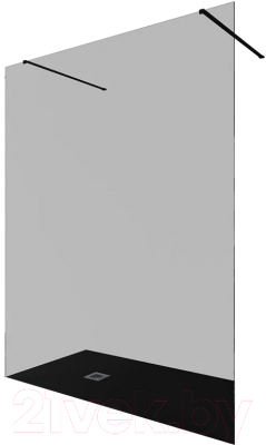 Душевая стенка Allen Brau Infinity 2 3.21058.BBA.T / 323850 - фото