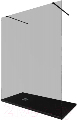 Душевая стенка Allen Brau Infinity 2 3.21058.BBA.T / 323850