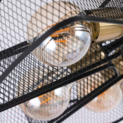 Люстра Arte Lamp Maasym A7044PL-8BK