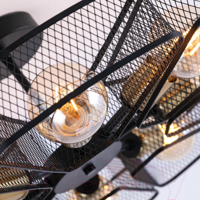 Люстра Arte Lamp Maasym A7044PL-8BK