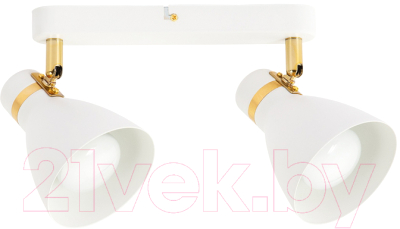 Спот Arte Lamp Fafnir A5047PL-2WH - фото