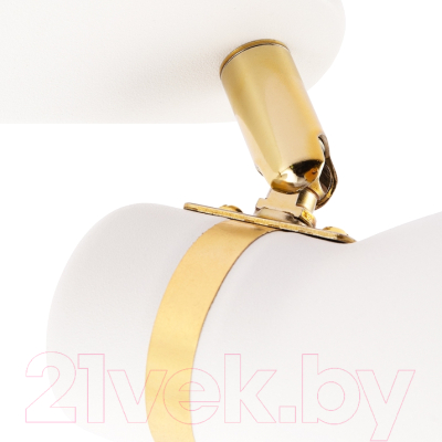 Спот Arte Lamp Fafnir A5047PL-2WH