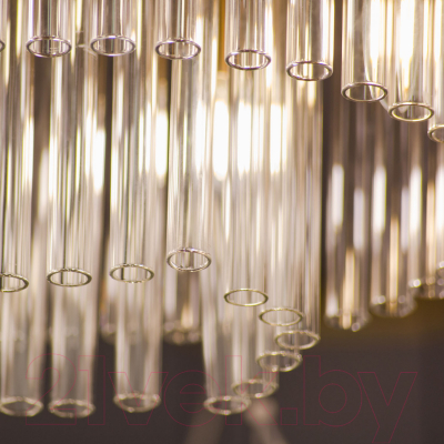 Люстра FAVOURITE 4203-12P