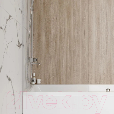 Стеклянная шторка для ванны Teymi Timo 60x140 / T00270