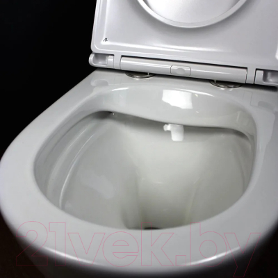 Унитаз подвесной Teymi Lina S / T40102