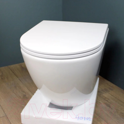 Унитаз подвесной Teymi Lina S / T40102