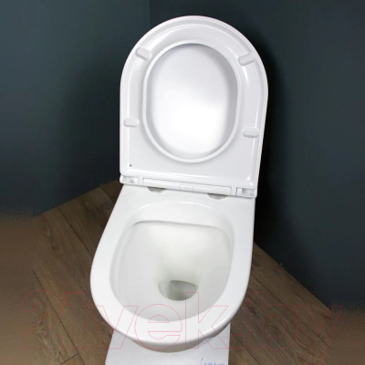 Унитаз подвесной Teymi Lina S / T40102