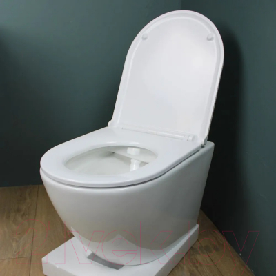 Унитаз подвесной Teymi Lina S / T40102