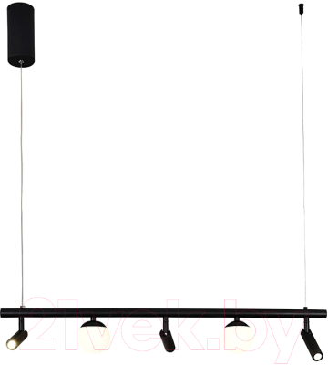 Потолочный светильник F-Promo 4179-5P