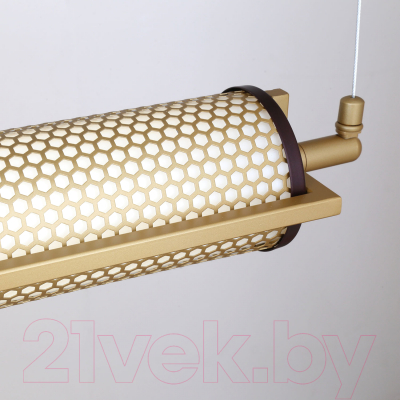 Потолочный светильник FAVOURITE 4190-1P