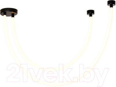 Потолочный светильник FAVOURITE 4217-2U - фото