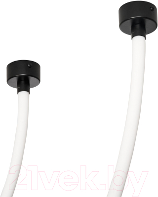 Потолочный светильник FAVOURITE 4217-2U