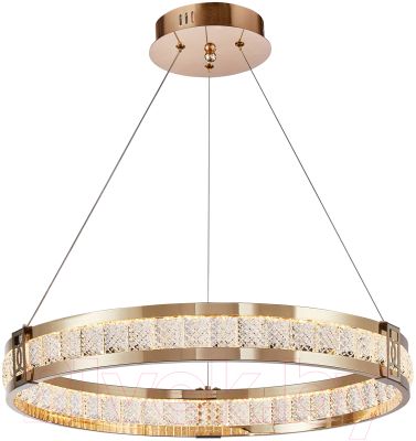 Потолочный светильник FAVOURITE 4206-6P - фото