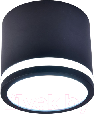 Точечный светильник FAVOURITE 4212-1C