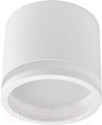 Точечный светильник FAVOURITE 4213-1C - фото