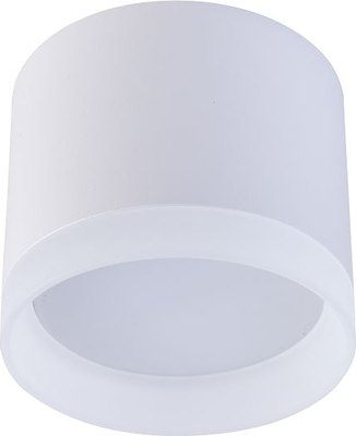 Точечный светильник FAVOURITE 4215-1C - фото