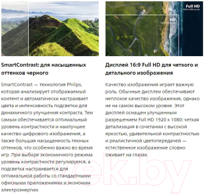 Монитор Philips 242E1GAJ/01