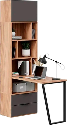 Стол-стеллаж ТриЯ Порто СМ-393.07.200 Исп.2 со столом (яблоня беллуно/графит софт) - фото