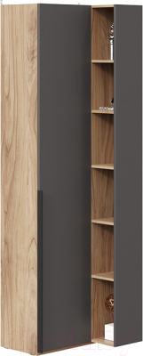 Шкаф ТриЯ Порто СМ-393.21.024 угловой с глухой дверью - фото