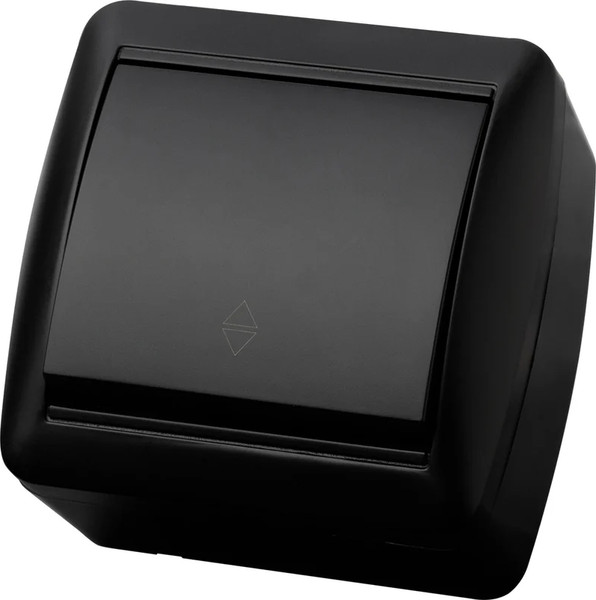 Выключатель TDM Селигер / SQ1818-0311 (графит) - фото