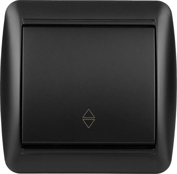 Выключатель TDM Селигер / SQ1818-0311 (графит)