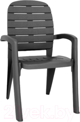 Стул пластиковый Ellastik Plast Прованс 58x46.5x90 - фото