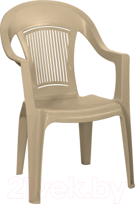 Стул пластиковый Ellastik Plast Элластик 41x55x91 - фото